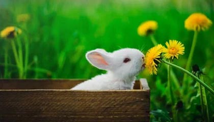 九游网-沙特联赛砸钱抢人，欧洲球星转会潮涌现，沙特进欧洲联赛的球员