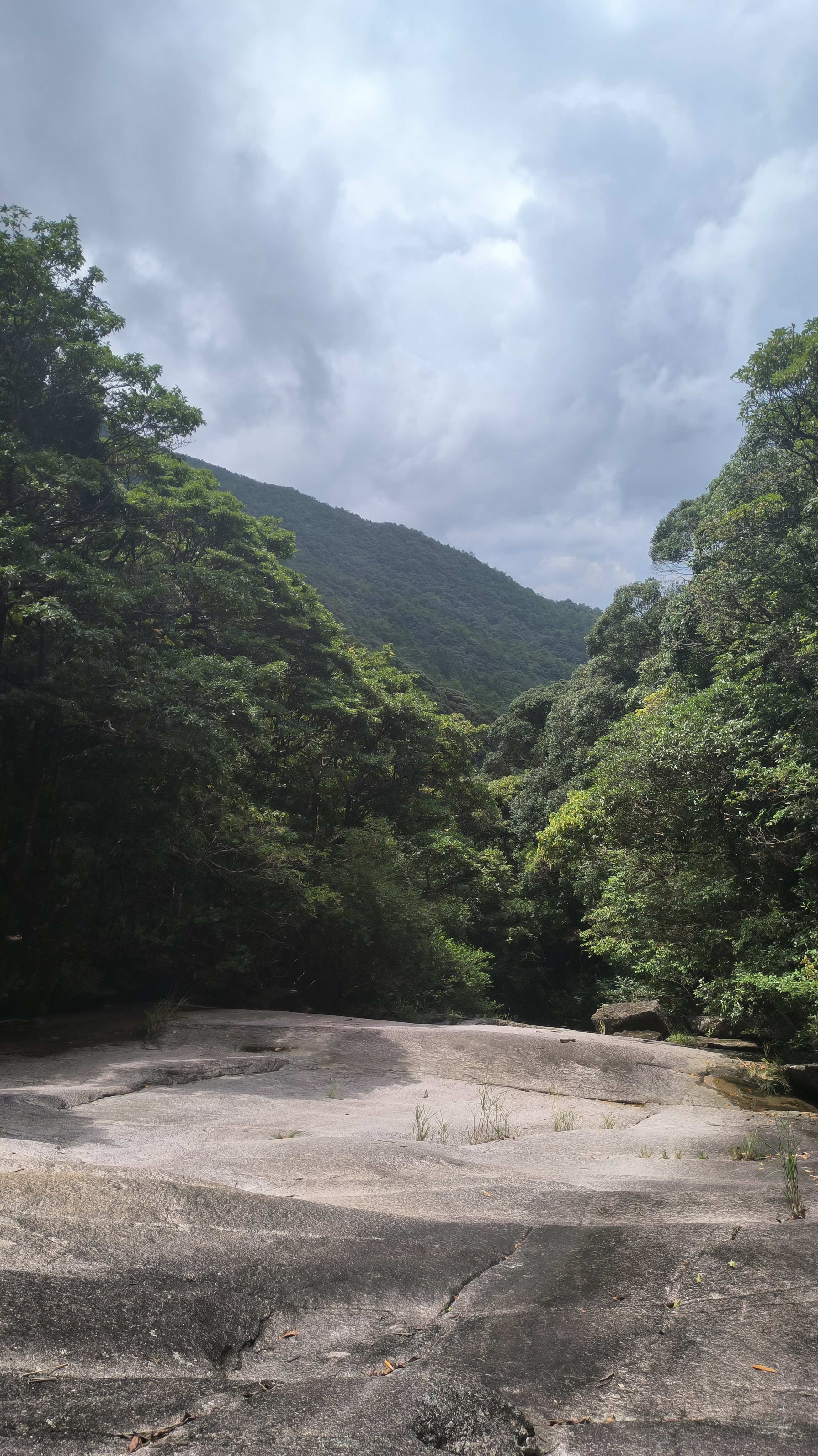 关于山林穿越极限跑，感受大自然的狂野魅力的信息