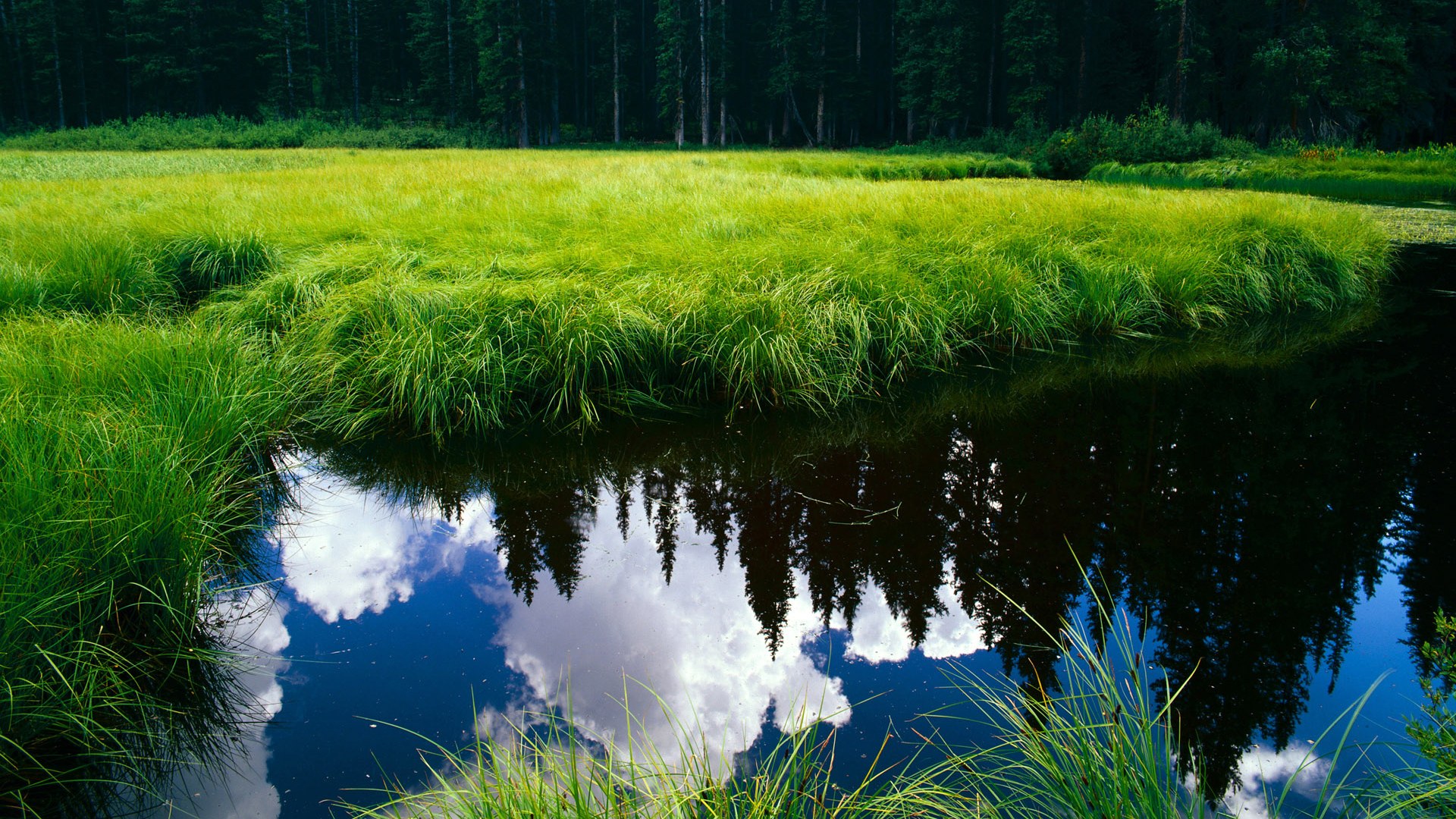 欧洲杯逆转奇迹：战术变化，奇迹诞生！，欧洲杯奇迹再现