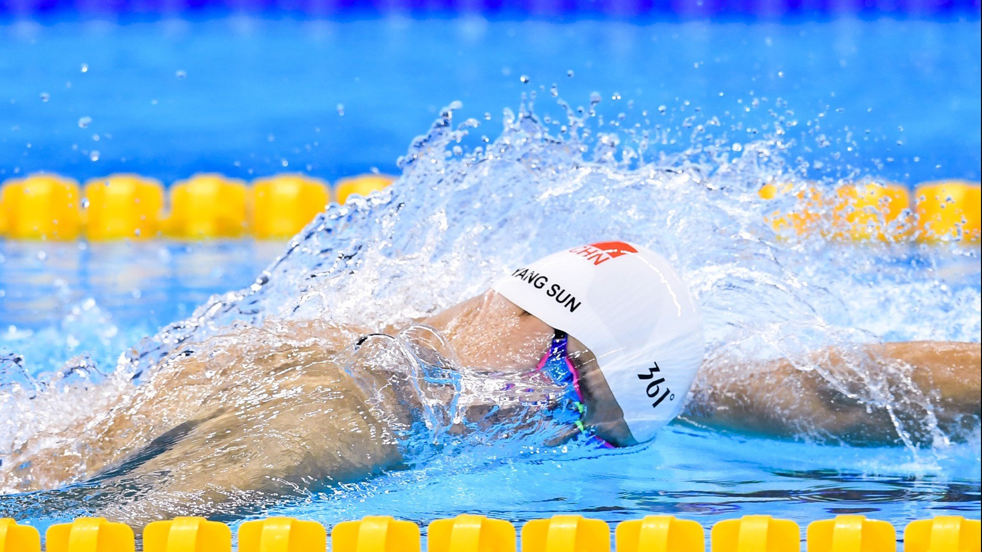 【世界冠军风采】他们的成功之路与未来展望，世界冠军背后的艰辛